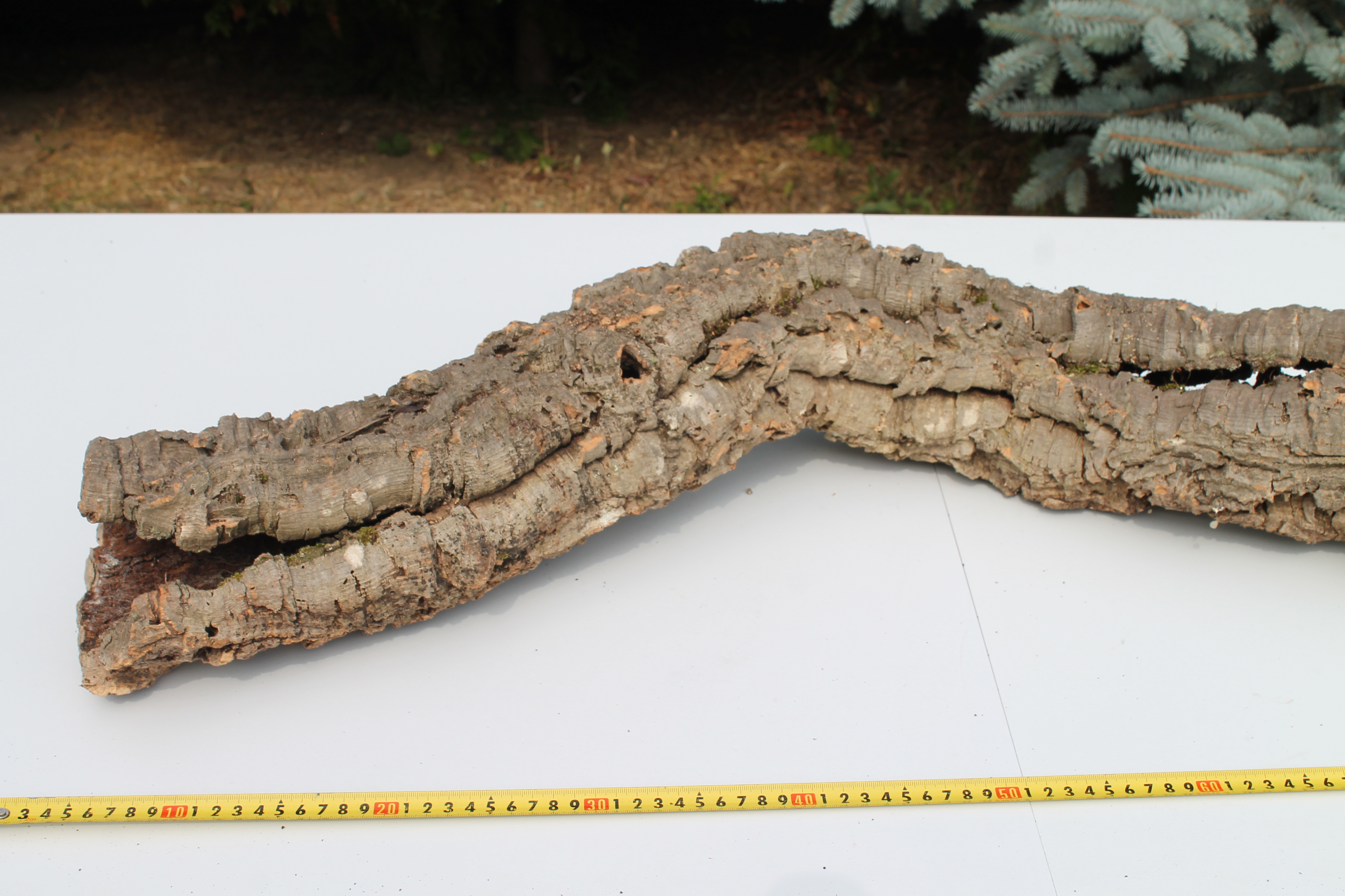 Korok kusový predaj