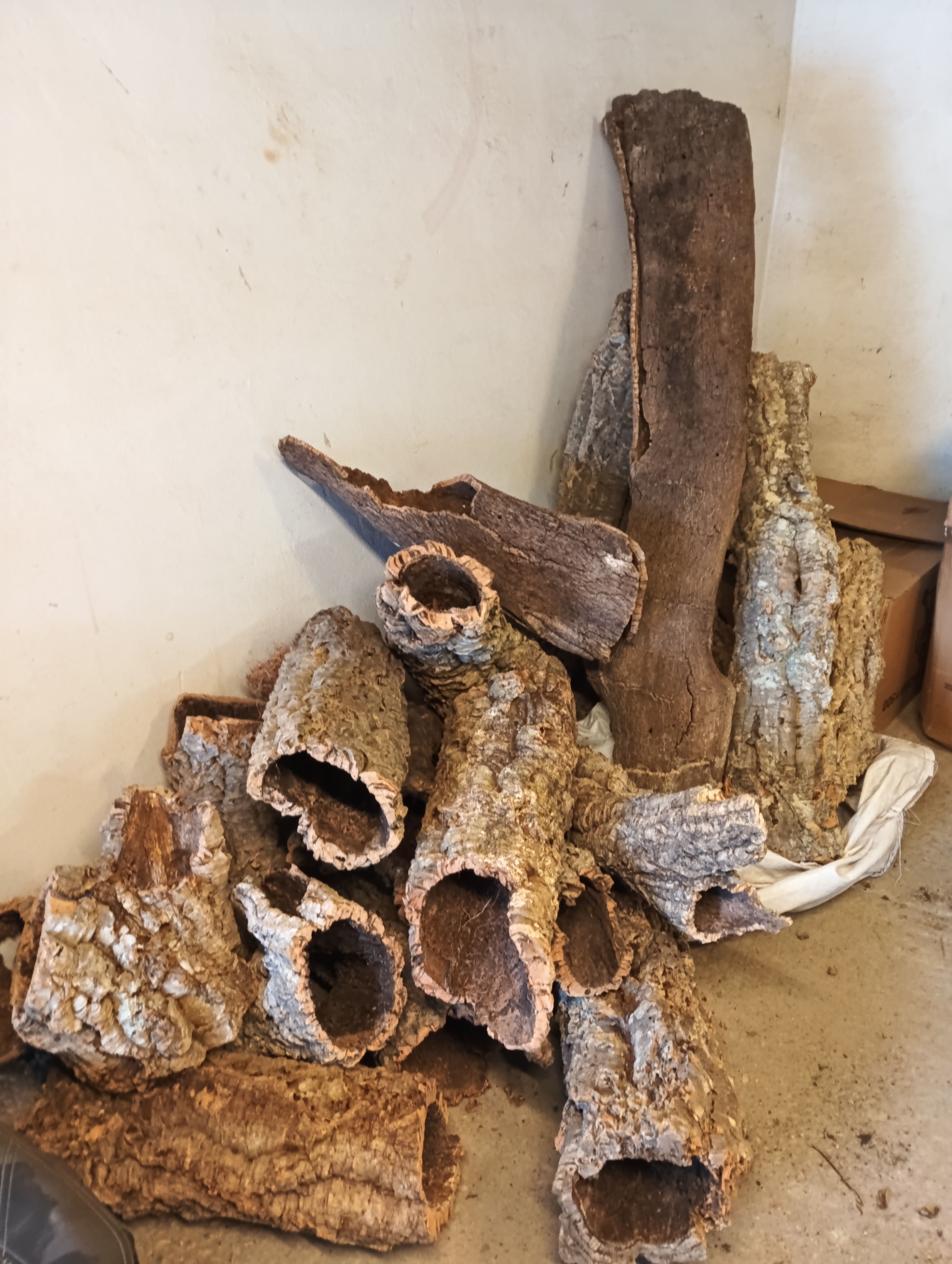 Surový korok u nás na sklade