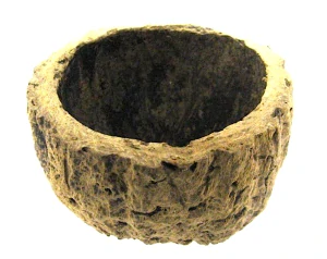 Brazílsky orech  Natural 10cm