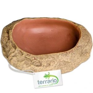 Terrario Rock Oasis S – Miska do terária 10x6,5x2,5 cm