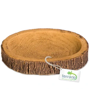 Terrario Tree Ring Bowl S – Miska do terária 9,5x7,5x1 cm