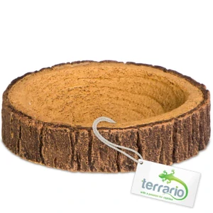 Terrario Tree Ring Bowl XS 