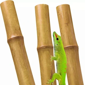 Bambusová tyč hrubá 60cm