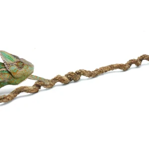 Korková liána 50cm