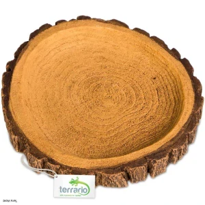 Terrario Tree Ring Bowl M – Terárium 12x11x1,5 cm