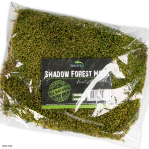 Shadow Forest Moss Terrario – prírodný živý teráriový mach 35 × 28 cm