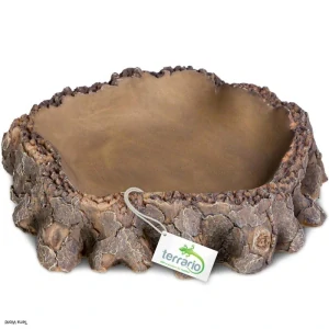 Terrario Root Bowl – miska do terária s dizajnom koreňa (16 × 16 × 4 cm