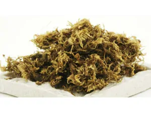 Mach  Repti-Zoo 4,5l