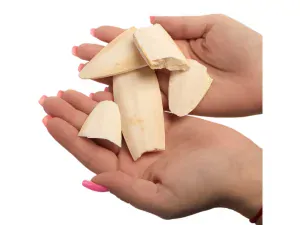 Sepiové kosti- úlomky - Terra World 100g