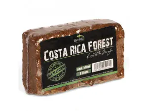 Terrario Costa Rica Forest 8L