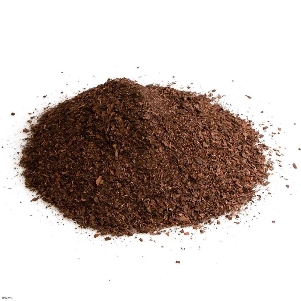 Terrario Tha Pom Khlong S 