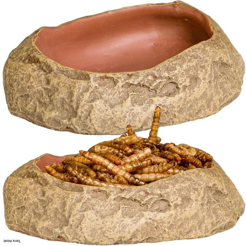 Terrario Rock Oasis S – Miska do terária 10x6,5x2,5 cm