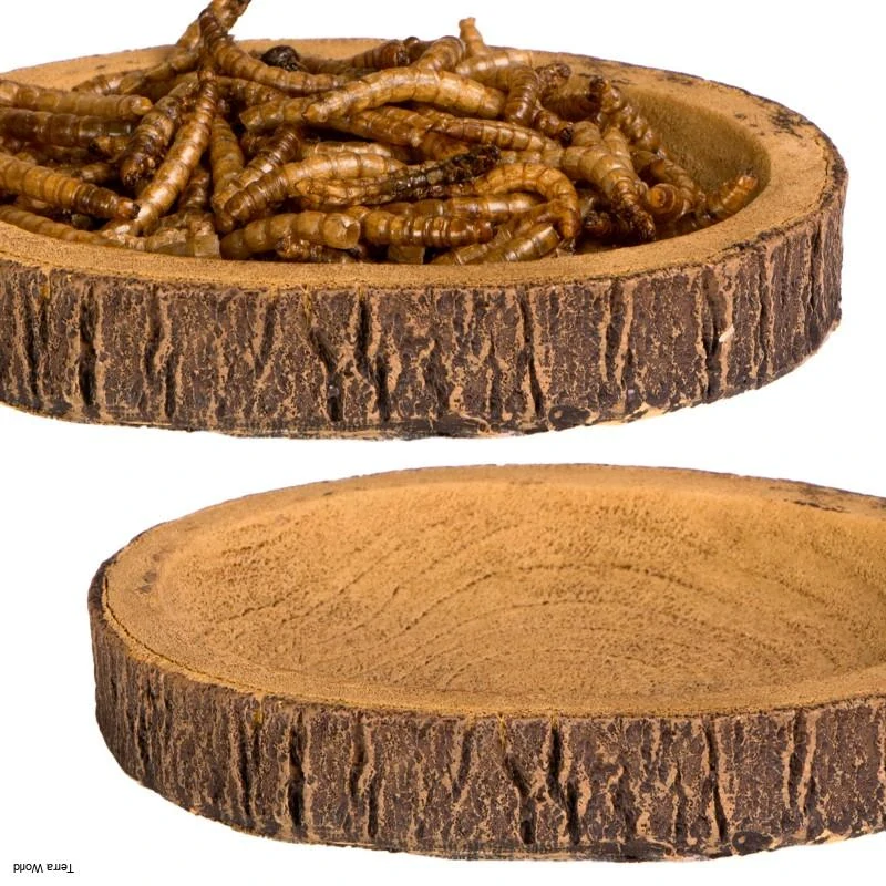 Terrario Tree Ring Bowl S – Miska do terária 9,5x7,5x1 cm