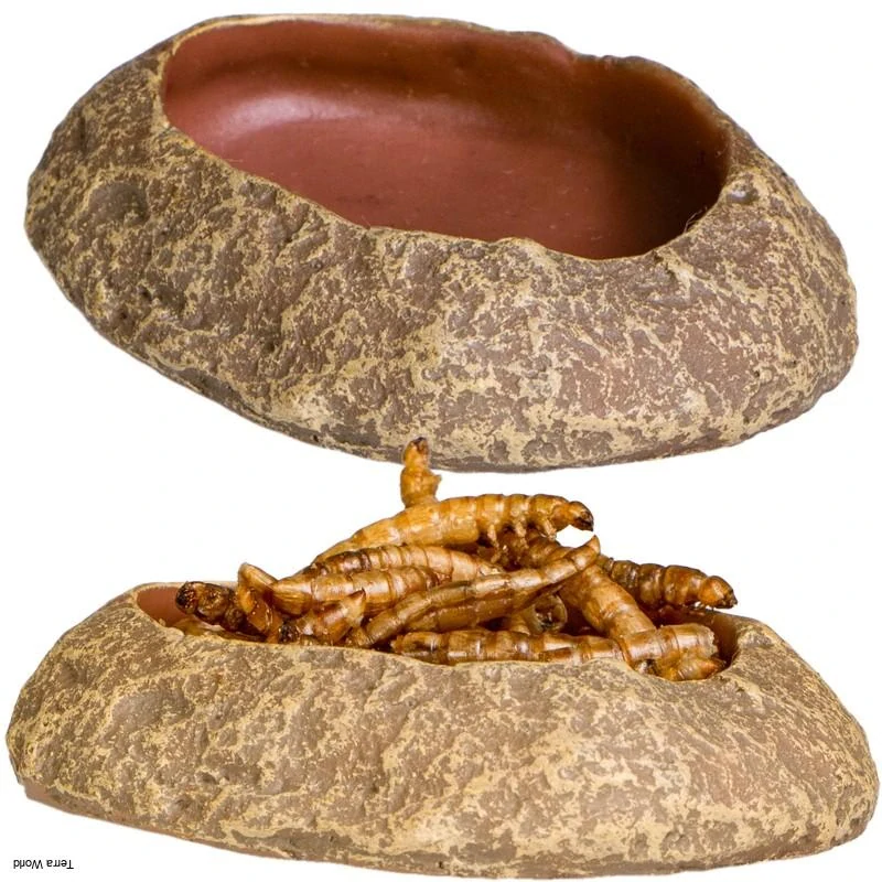 Terrario Rock Oasis XS – Miska do terária 5,5x4x1 cm