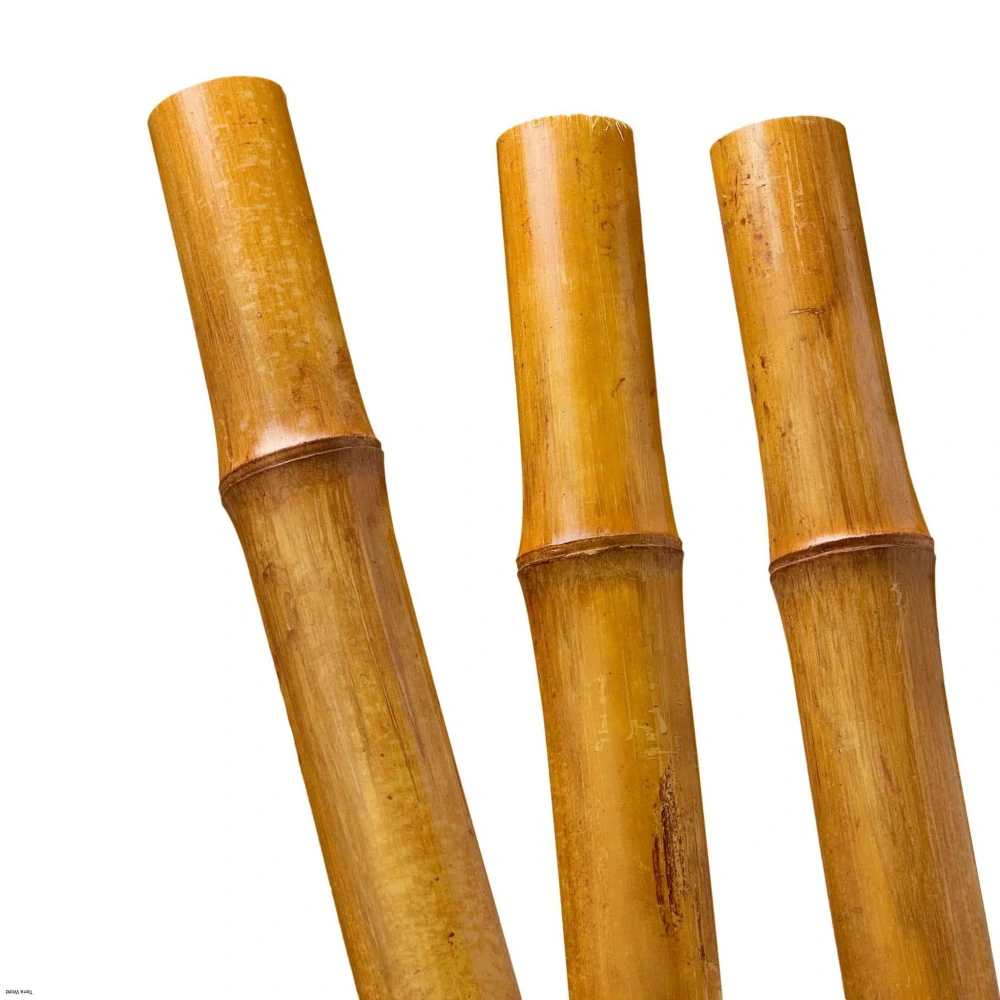 Bambusová tyč hrubá 60cm