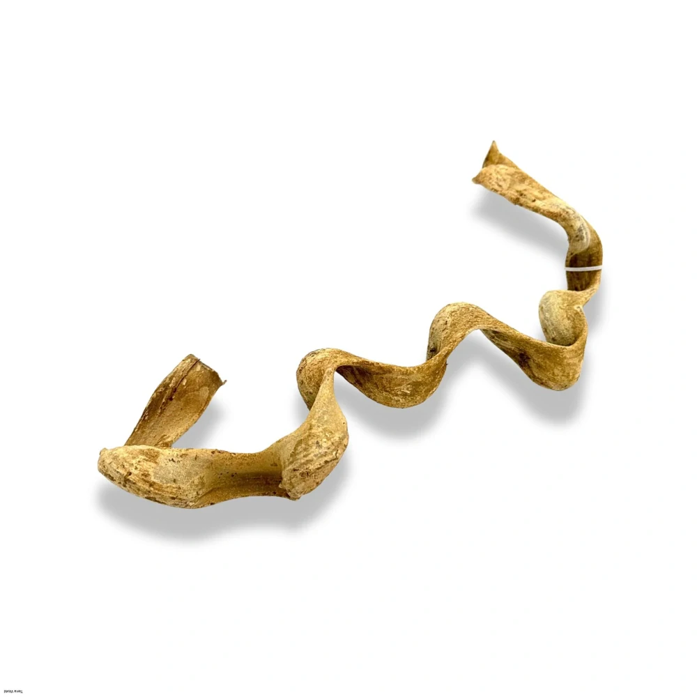 Liána z Vietnamu 30-45cm