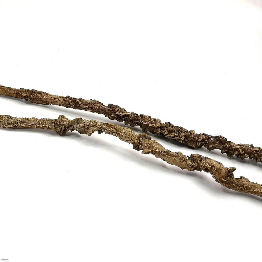Korková liána 50cm