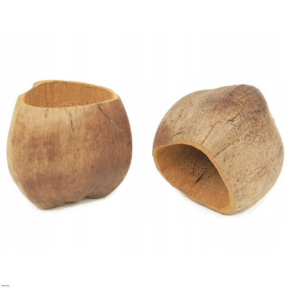 Kokosový kvetináč prírodný