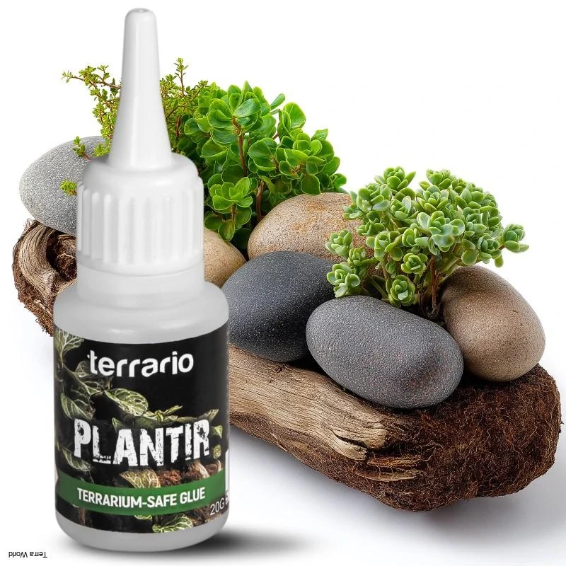 Terrario Plantir 20g