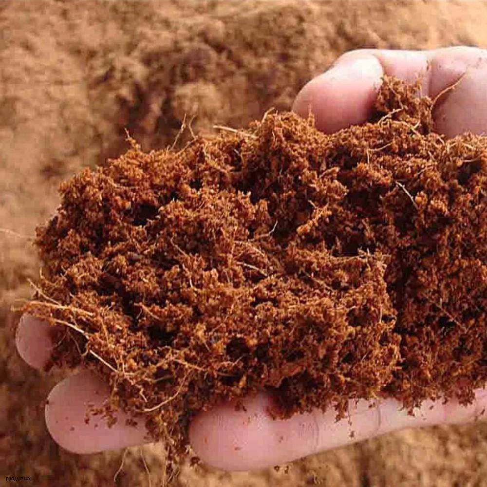 Lolo Pets Fiber Peat 4l