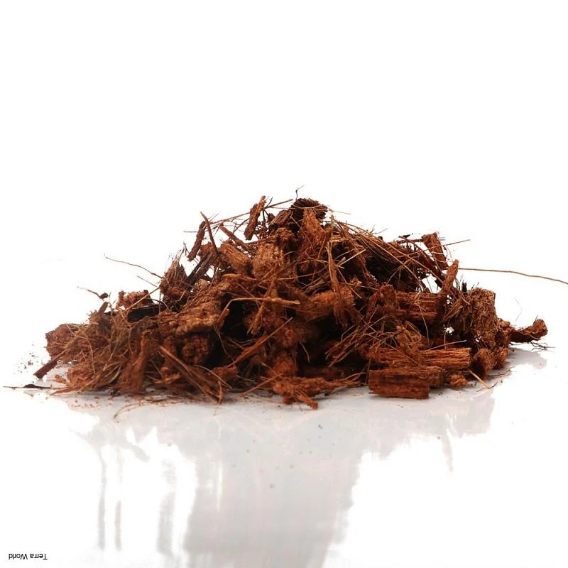 Terrario Madidi Rainforest 5l 500g 