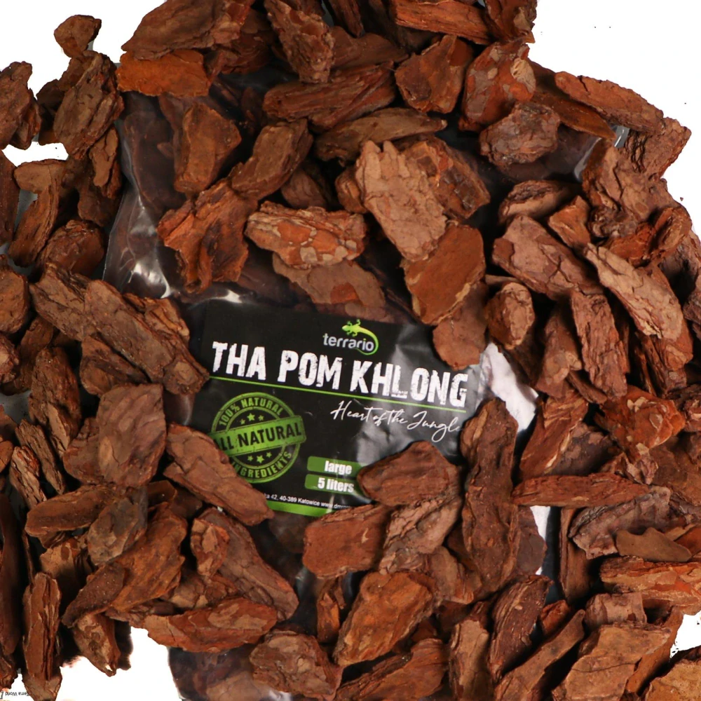 Tha Pom Khlong  L  Terrario