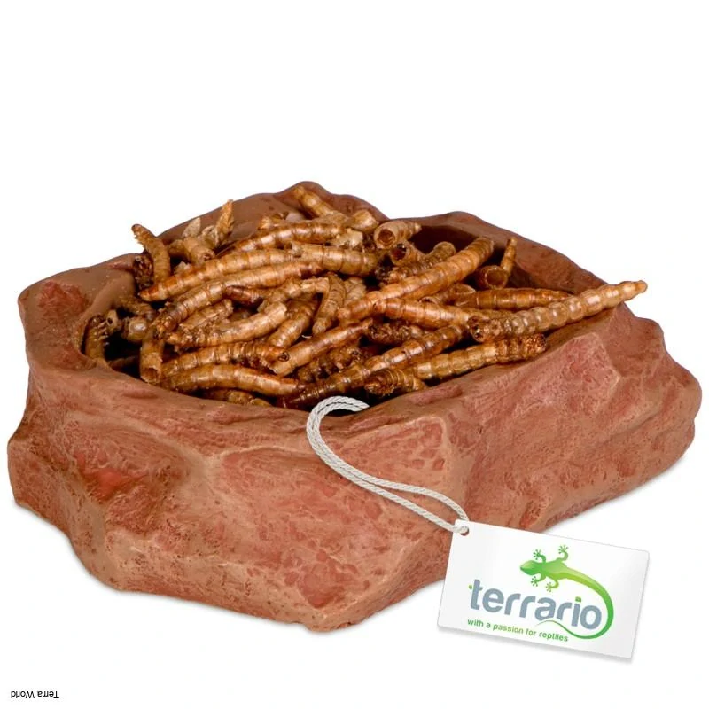 Miska Terrario Natural S 