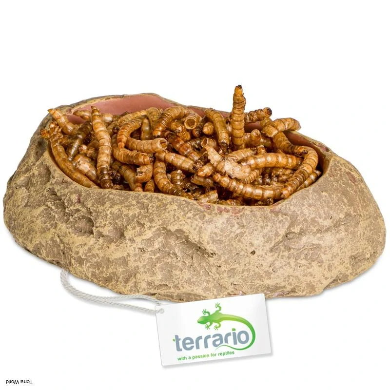 Terrario Rock Oasis S – Miska do terária 10x6,5x2,5 cm