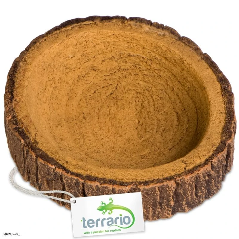 Terrario Tree Ring Bowl XS 