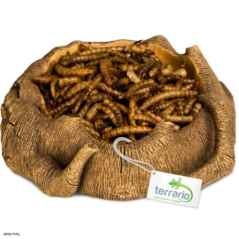 Terárium Rustikálna drevená misa 