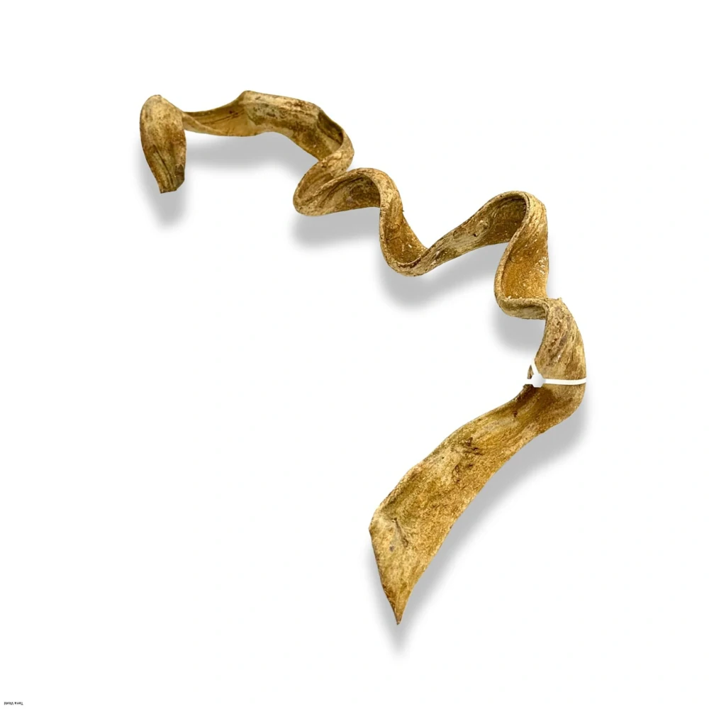 Liána z Vietnamu 30-45cm