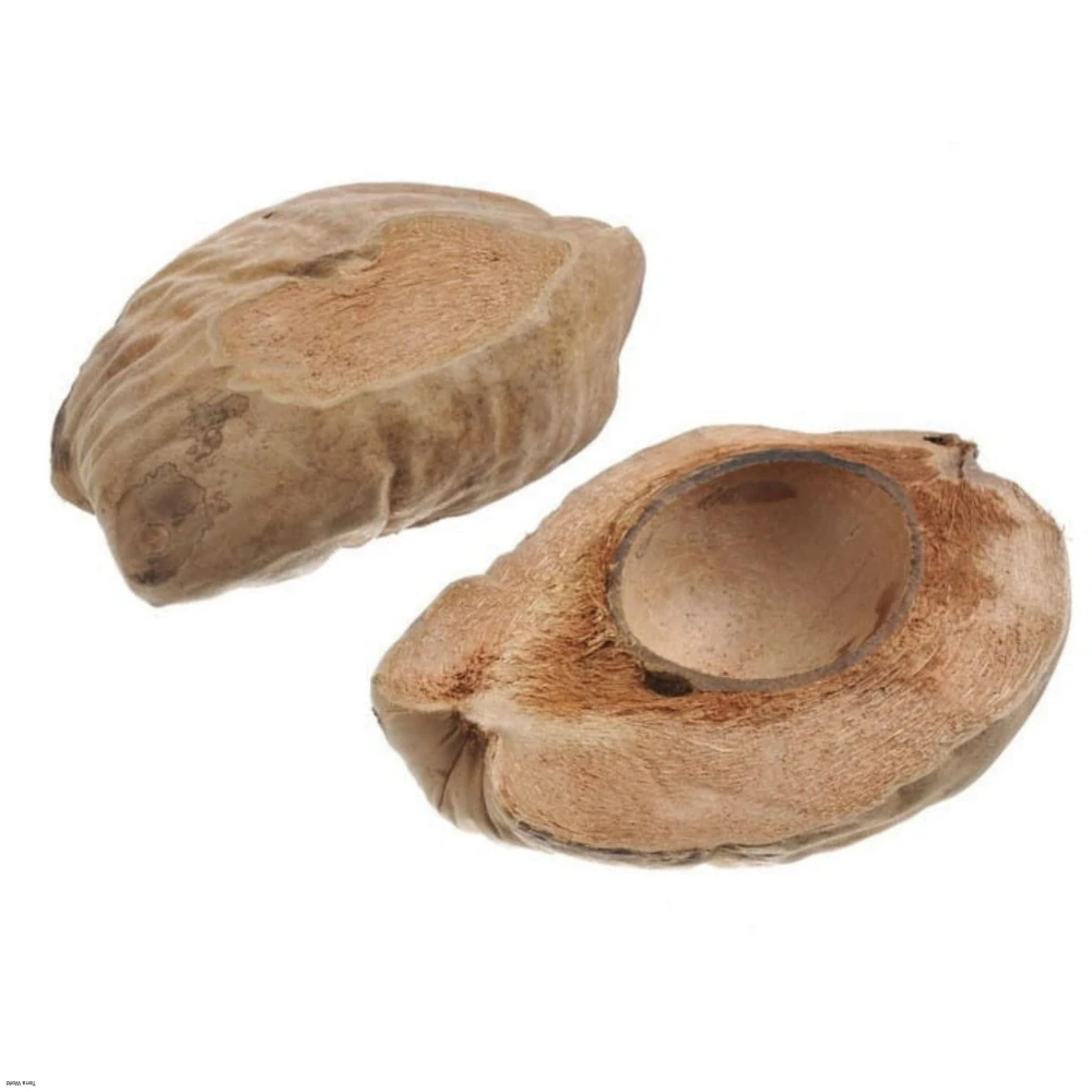 Miska kokos veľká