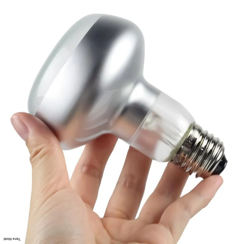 Repti-Zoo plochá vyhrievacia žiarovka 75W - plochá vyhrievacia žiarovka