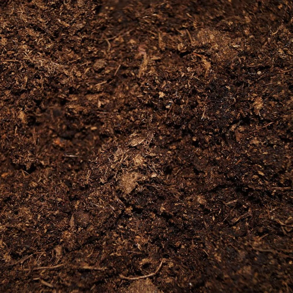 Lolo Pets Fiber Peat 4l