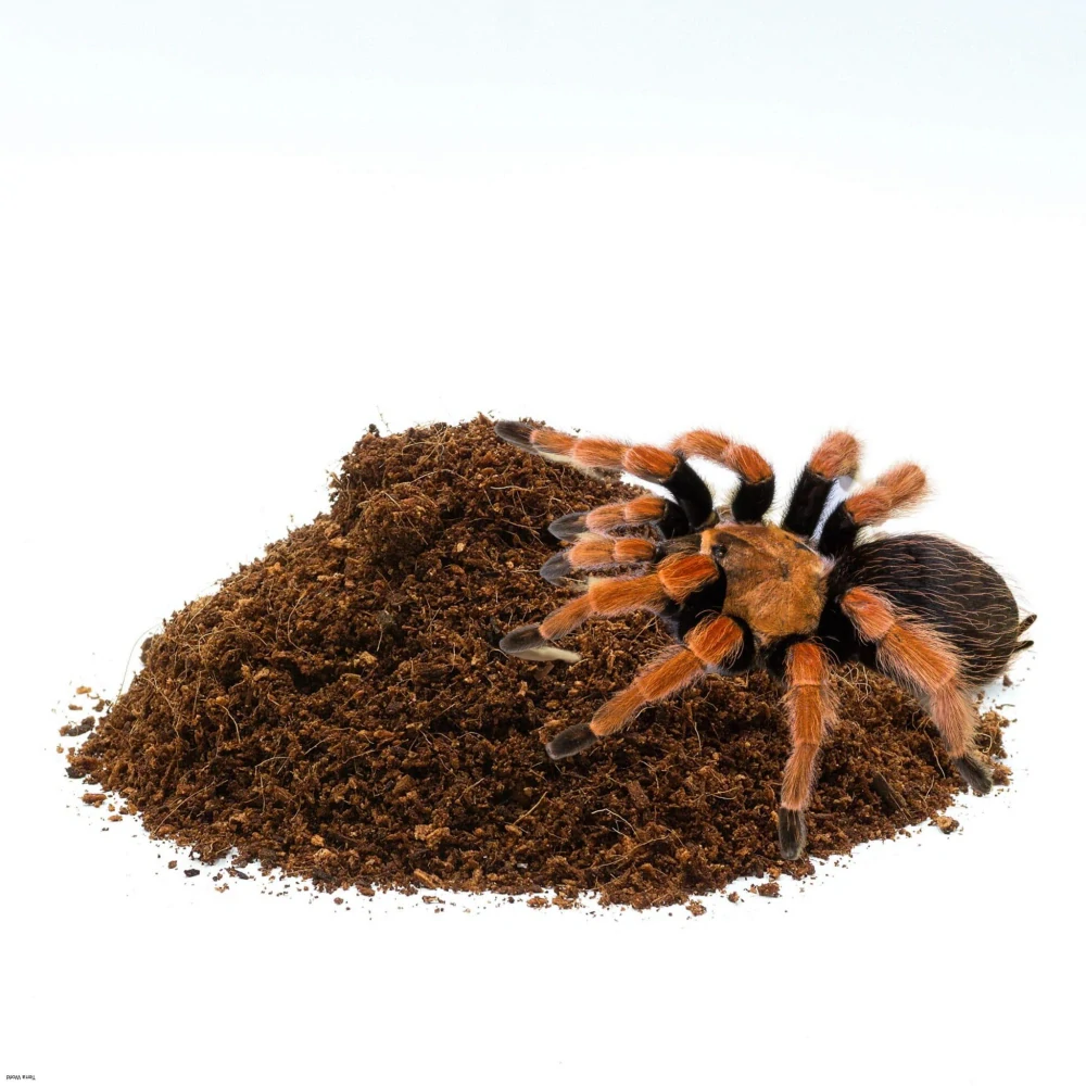 BioCoco Rašelinová tehla Kokosová briketa 600g