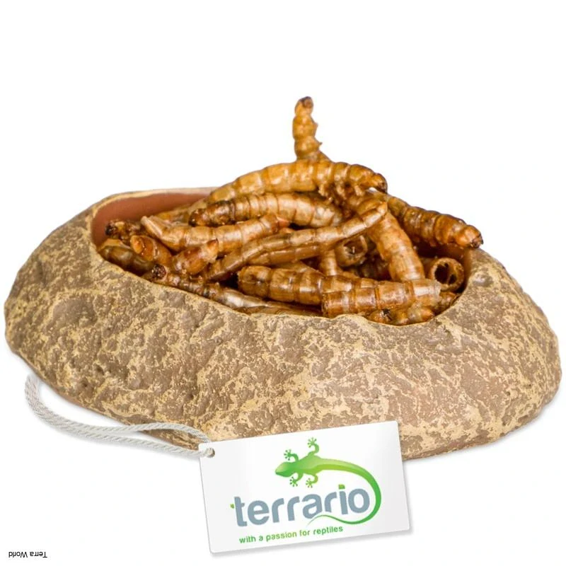Terrario Rock Oasis XS – Miska do terária 5,5x4x1 cm