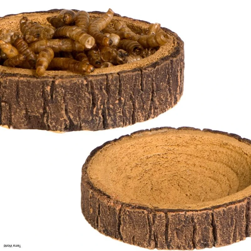 Terrario Tree Ring Bowl XS 