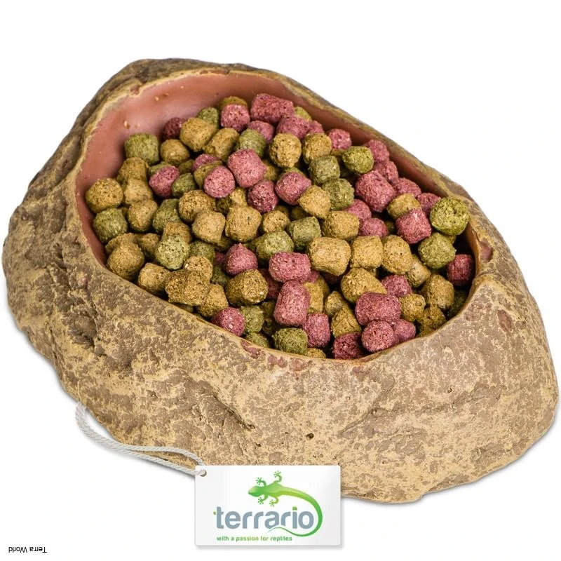 Terrario Rock Oasis S – Miska do terária 10x6,5x2,5 cm