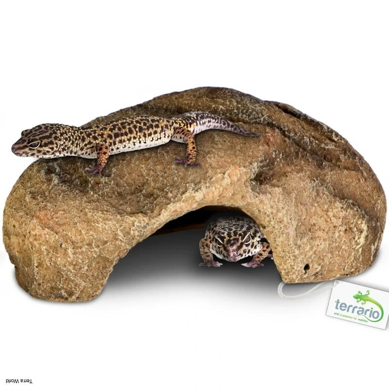 Terrario Gecko Cave S