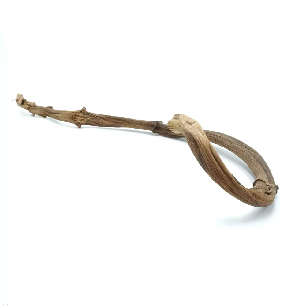 Bio branch banánovník 70-80cm veľká