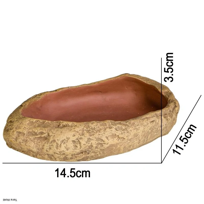 Terrario Rock Oasis M – Terárium miska 14,5x11,5x3,5 cm