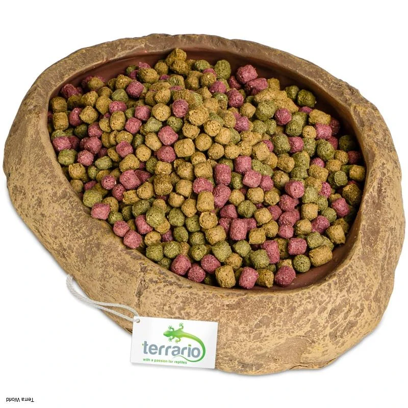 Terrario Rock Oasis L – Terárium miska 17x15x4,5 cm