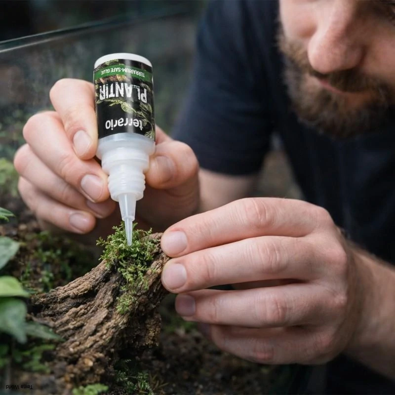 Terrario Plantir 20g