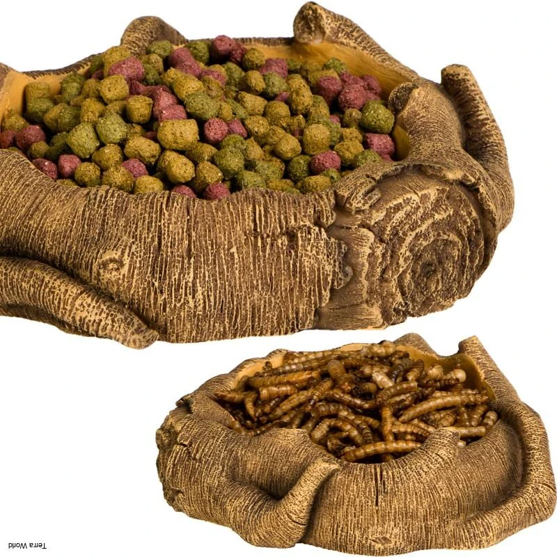 Terárium Rustikálna drevená misa 