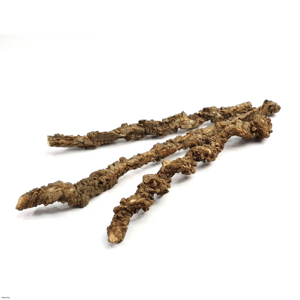 Korková liána 50cm