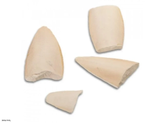 Sepiové kosti- úlomky - Terra World 100g