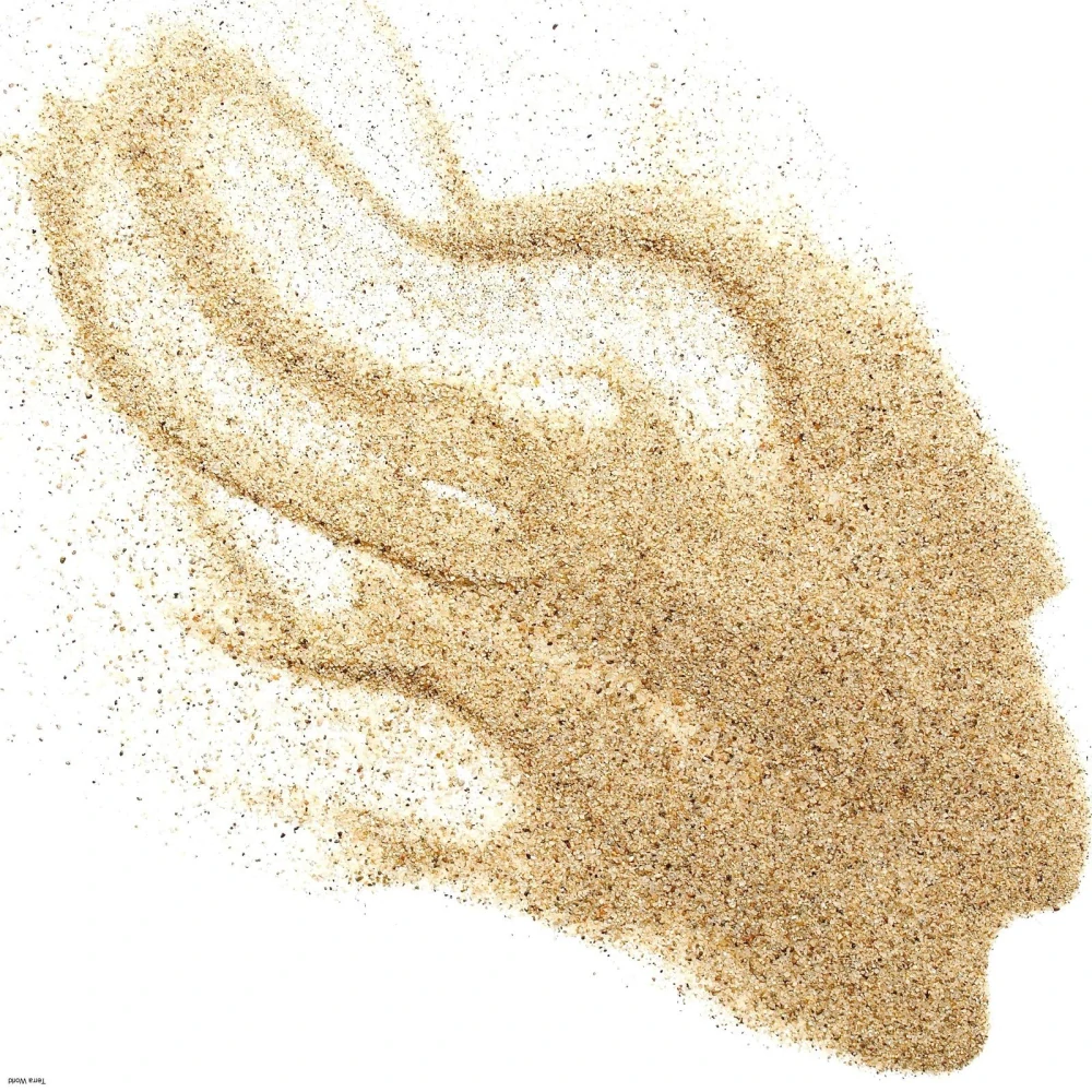Terrario Dragon Sand 2,5kg - púštny piesok