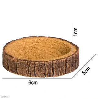 Terrario Tree Ring Bowl XS