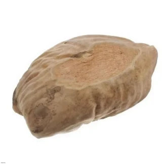 Miska kokos veľká