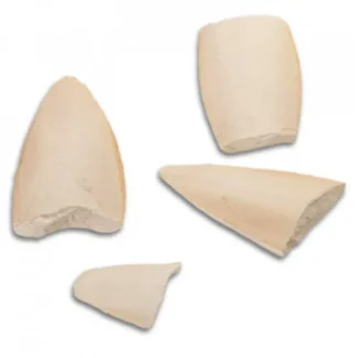 Sepiové kosti- úlomky - Terra World 100g